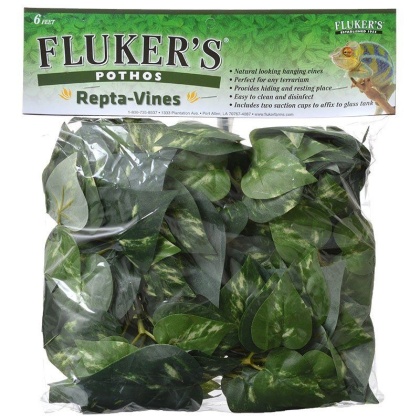 Flukers Pothos Repta-Vines - 6\' Long