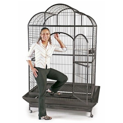 Silverado Macaw Dome Top Cage